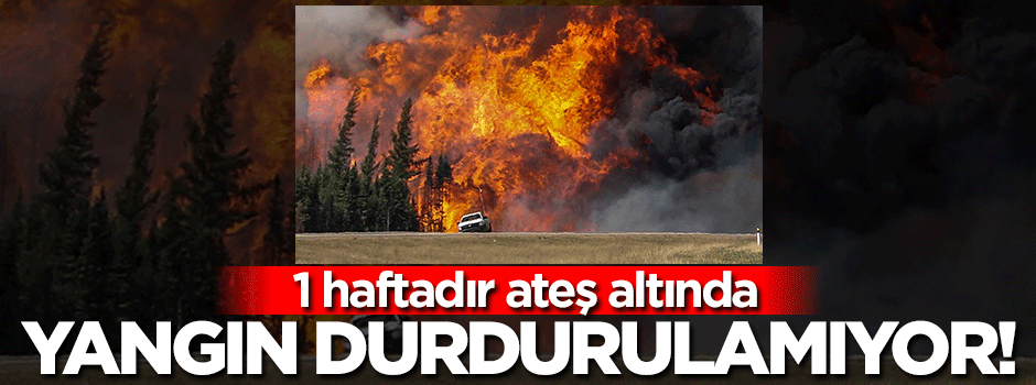 Yangın 1 haftadır durdurulamıyor!