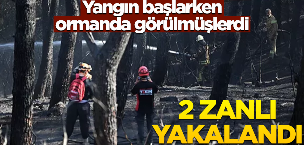 Yangın başlarken ormanda görülmüşlerdi! 2 zanlı yakalandı