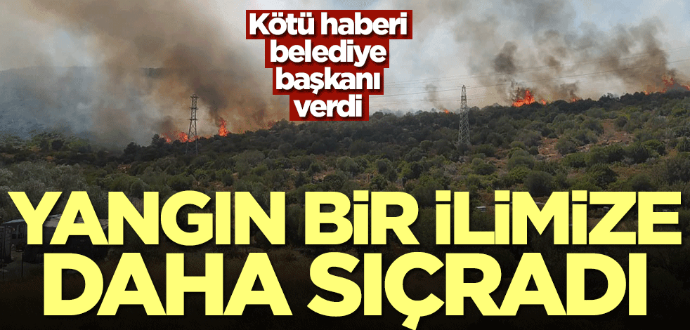 Yangın bu kez İzmir'de başladı!