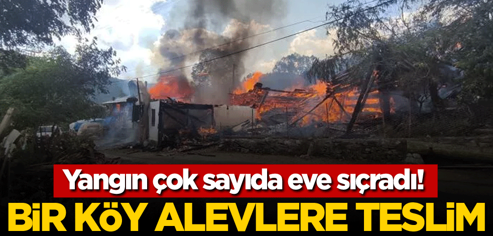 Yangın çok sayıda eve sıçradı! Bir köy alevlere teslim