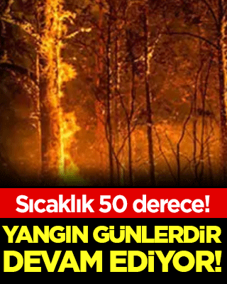 Yangın günlerdir devam ediyor: Sıcaklık 50 dereceye ulaştı!