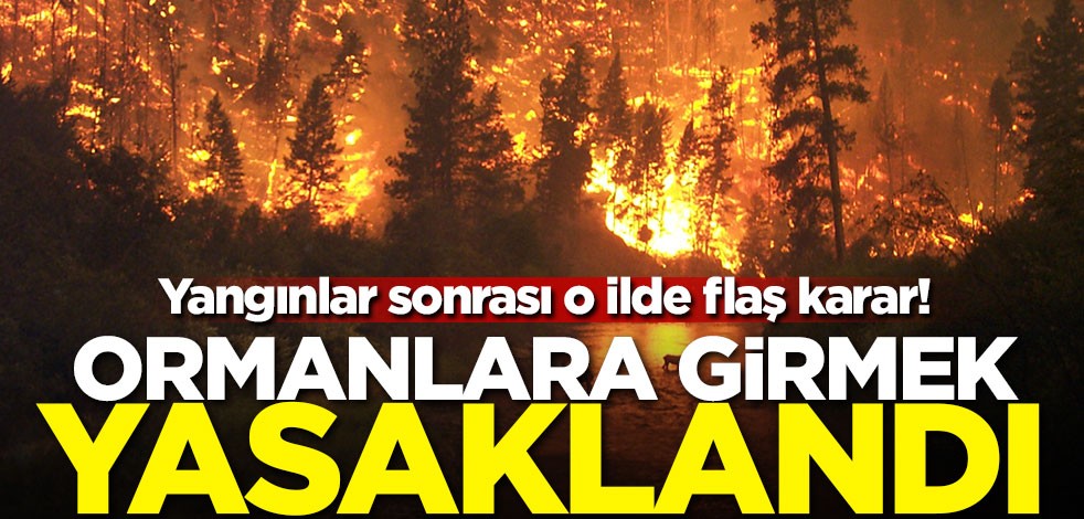 Yangınlar sonrası o ilde flaş karar! Ormanlara girmek yasaklandı