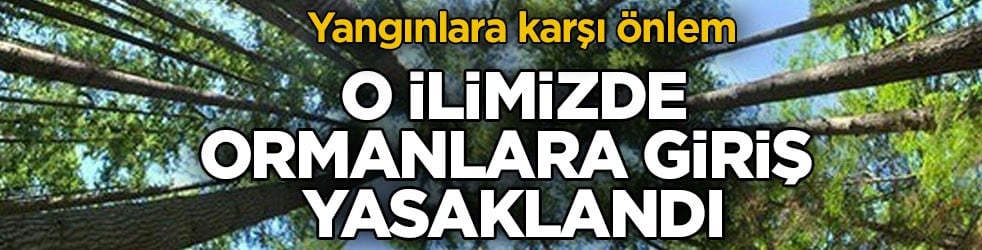Yangınlara karşı önlem! O ilimizde ormanlara giriş yasaklandı