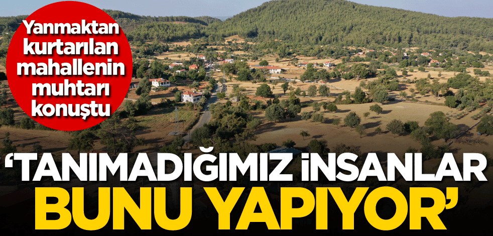 Yanmaktan kurtarılan mahallenin muhtarı konuştu: Tanımadığımız insanlar bunu yapıyor