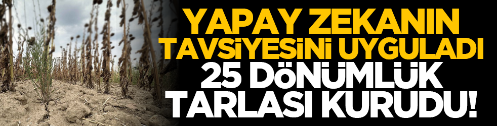 Yapay zekanın tavsiyesine uyguladı, 25 dönümlük tarlası kurudu!