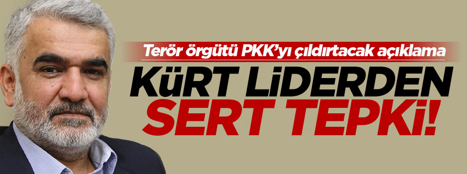Yapıcıoğlu: PKK Kürtleri kullanıyor!
