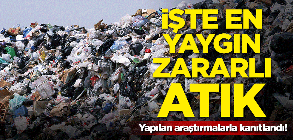 Yapılan araştırmalarla kanıtlandı! İşte en yaygın zararlı atık