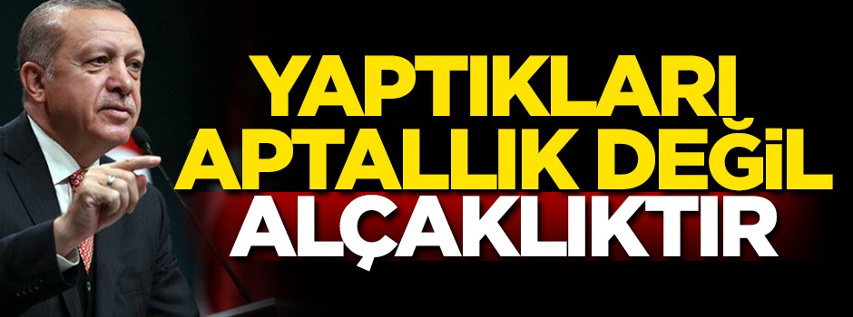 Yaptıkları aptallık değil alçaklıktır