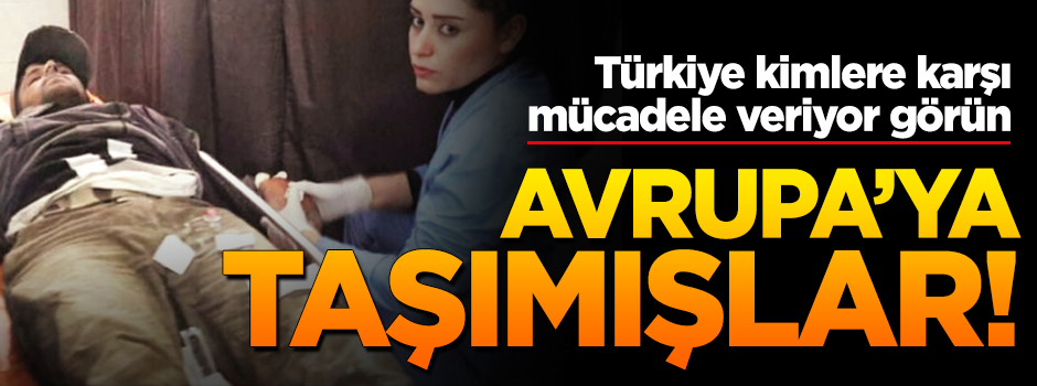 Yaralı PKK’lılar Avrupa’da tedavi edilmiş!