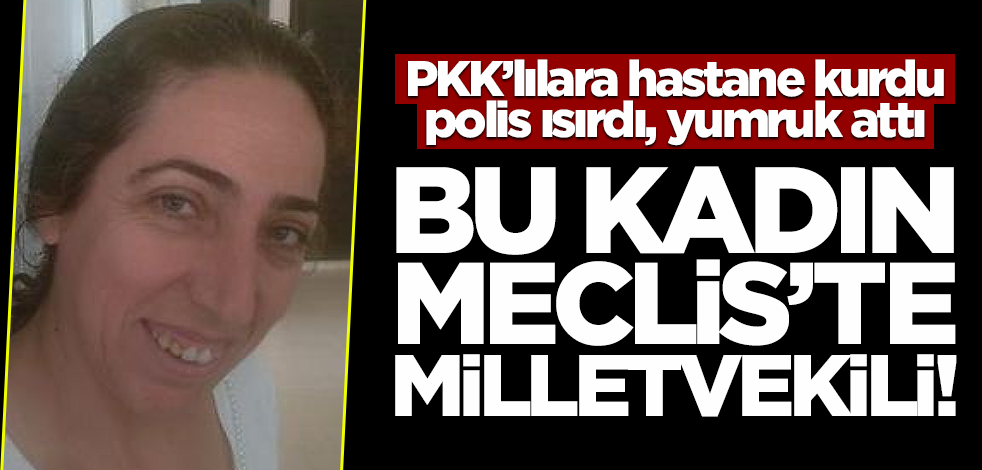 Yaralı PKK'lılara hastane açtı, polis ısırdı, yumruk attı... Bu kadın Meclis'te milletvekili!