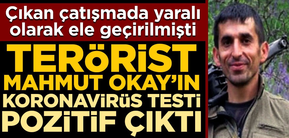 Yaralı yakalanan PKK'nın sözde Erzurum eyalet sorumlusu Mahmut Okay'ın koronavirüs testi pozitif çıktı