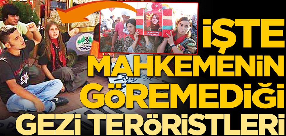 Yargı, 746 mağdurun olduğu Gezi’de suç bulamadı! İşte mahkemenin göremediği örgüt