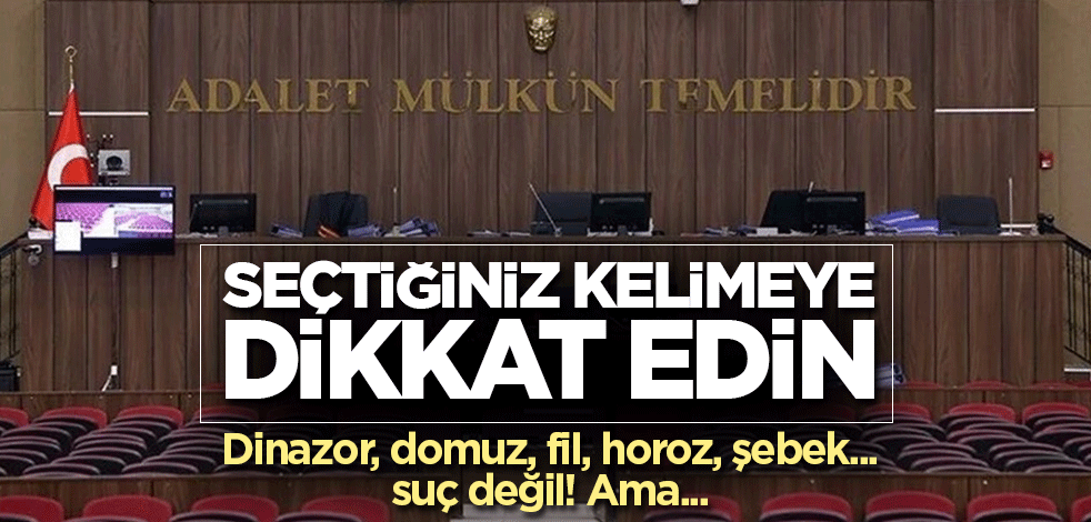 Yargıtay içtihatları! Dinazor, domuz, fil, horoz, şebek... suç değil! Ama...