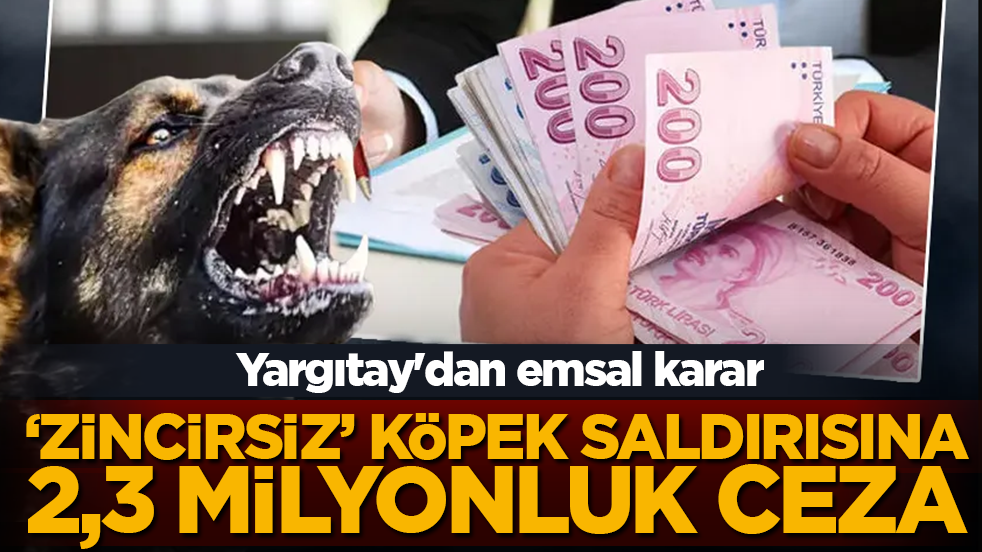 Yargıtay'dan emsal karar! Sorumsuzluğun faturası ağır oldu: ‘Zincirsiz’ köpek saldırısına 2,3 milyonluk ceza!