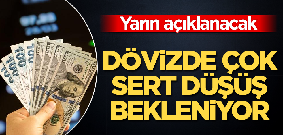 Yarın açıklanacak! Dövizde çok sert düşüş bekleniyor