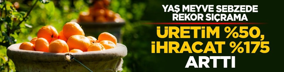 Yaş meyve sebzede rekor sıçrama: Üretim %50, ihracat %175 arttı