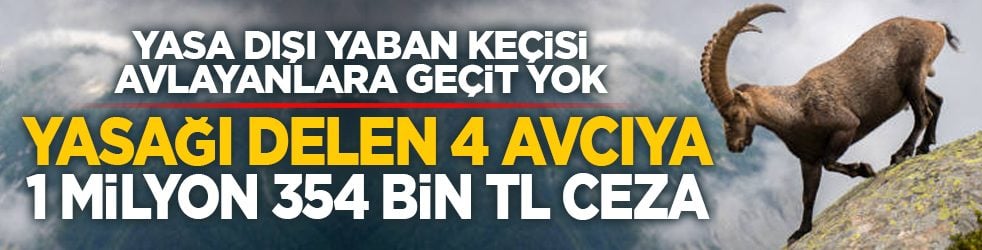 Yasa dışı yaban keçisi avlayanlara geçit yok: Yasağı delen 4 avcıya 1 milyon 354 bin TL ceza
