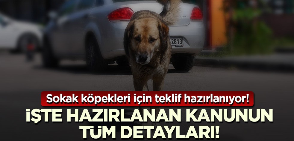 Yasa tasarısı TBMM'ye sunulacak! Masadaki formüllerden birisi 'uyutma'