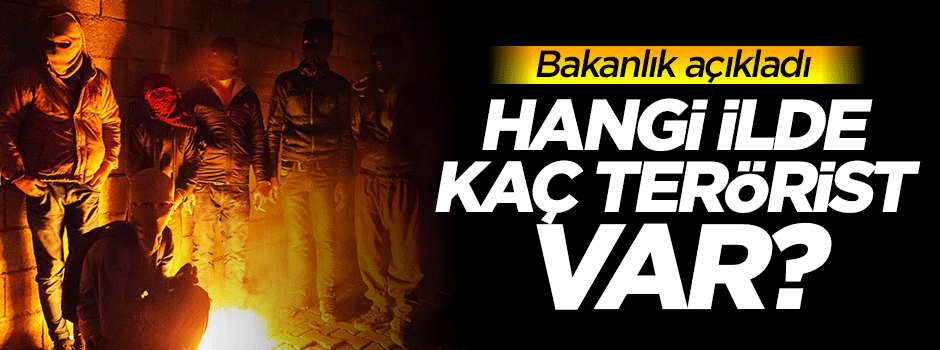 Yaşadığınız şehirde kaç terörist var ?