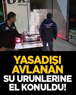 Yasadışı avlanan su ürünlerine el konuldu!