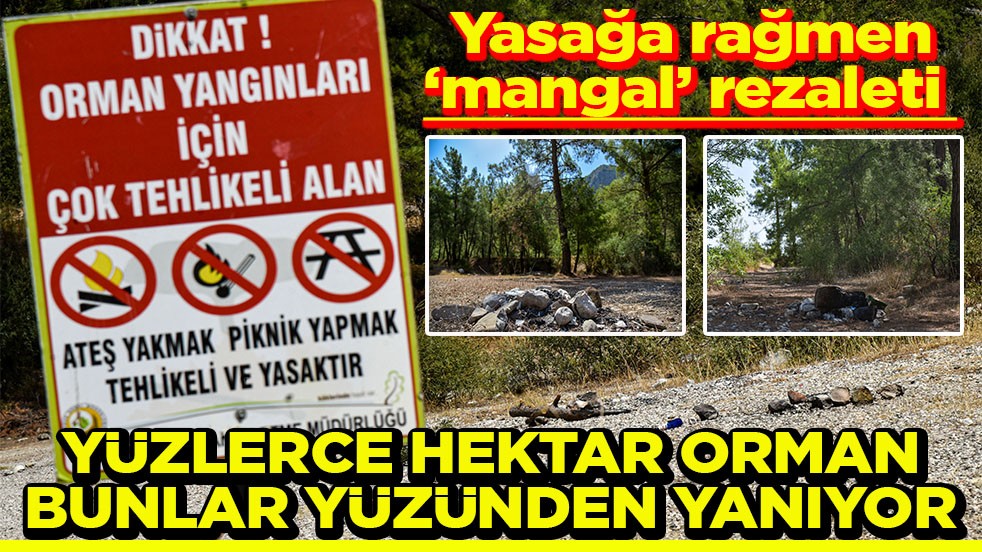 Yasağa rağmen ‘mangal' rezaleti Yüzlerce hektar orman bunlar yüzünden yanıyor
