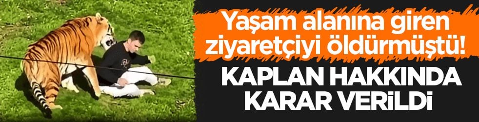 Yaşam alanına giren ziyaretçiyi öldürmüştü! O kaplan hakkında karar verildi 