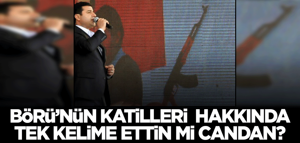 Yasin Börü'nün katilleri hakkında tek kelime edebildin mi Candan? T24'ten çirkin algı!