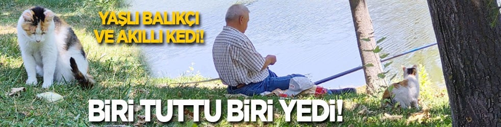 Yaşlı balıkçı ve akıllı kedi! Biri tuttu, diğeri yedi!