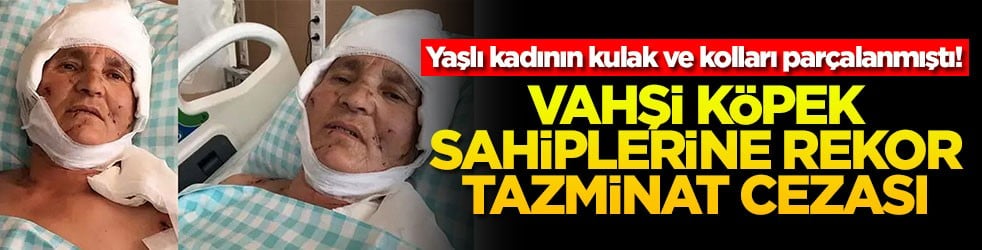 Yaşlı kadının kulak ve kolları parçalanmıştı! Vahşi köpek sahiplerine rekor tazminat cezası