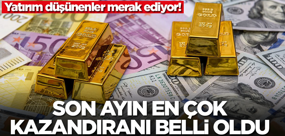 Yatırım düşünenler merak ediyor! Son ayın en çok kazandıranı belli oldu