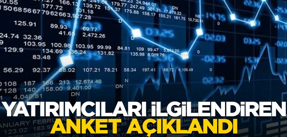 Yatırımcıları ilgilendiren anket açıklandı!