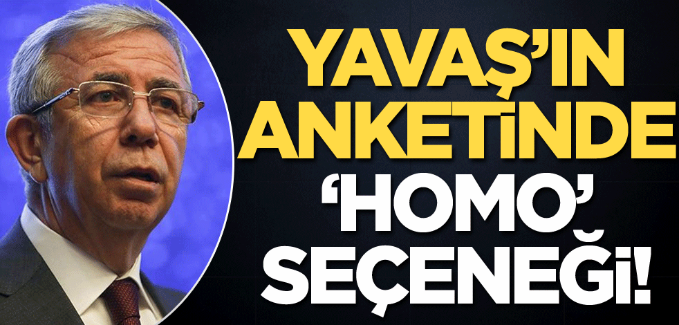 Yavaş'ın anketinde 'homo' seçeneği!