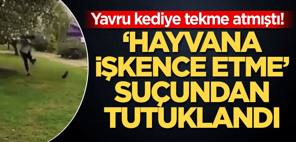 Yavru kediye tekme atmıştı! 'Hayvana işkence etme' suçundan tutuklandı