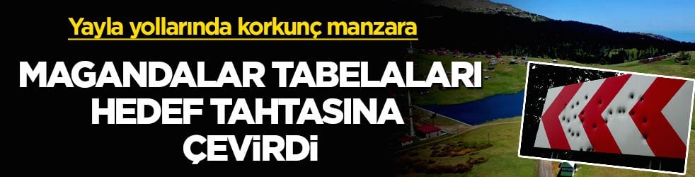 Yayla yollarında korkunç manzara! Magandalar tabelaları hedef tahtasına çevirdi