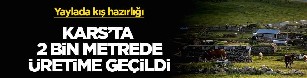 Yaylada kış hazırlığı! Kars'ta 2 bin metrede üretime geçildi