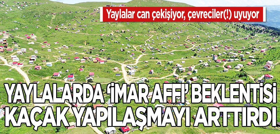 Yaylalar can çekişiyor, çevreciler uyuyor: Yaylalarda "imar affı" beklentisi, kaçak yapılaşmayı arttırdı