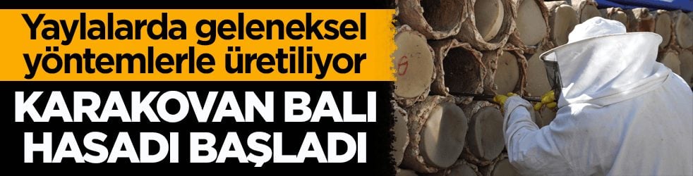 Yaylalarda geleneksel yöntemlerle üretiliyor! Karakovan balı hasadı başladı