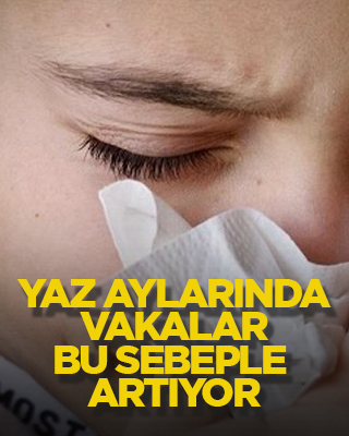 Yaz aylarında vakalar bu sebeple artıyor