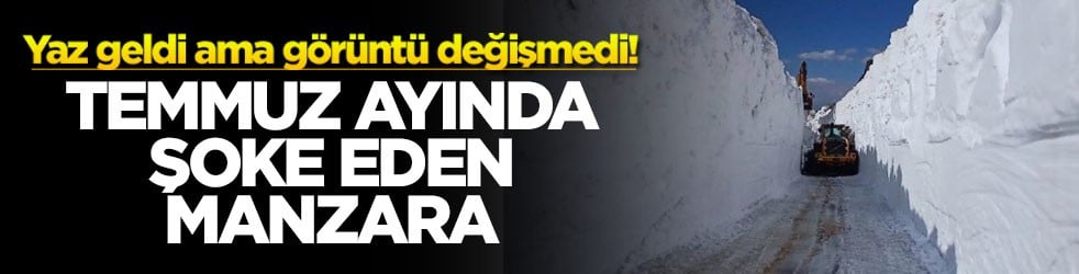 Yaz geldi ama görüntü değişmedi! Temmuz ayında şoke eden manzara