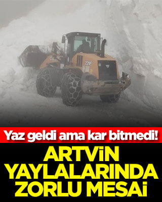 Yaz geldi ama kar bitmedi! Artvin yaylalarında zorlu mesai