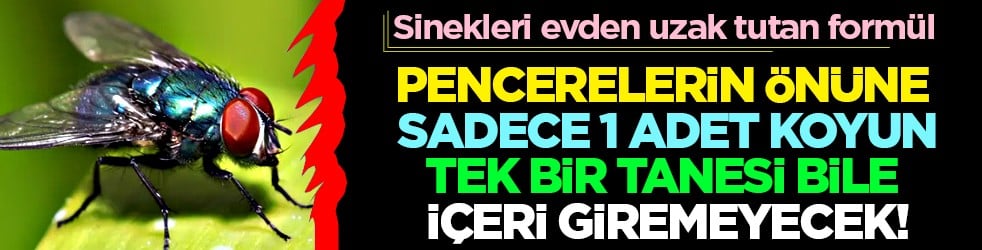 Yaz mevsiminin en büyük sorunu: Pencerelerin önüne sadece 1 adet koyun, tek bir tanesi bile içeri giremeyecek! 