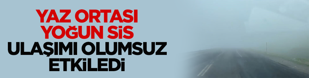 Yaz ortası yoğun sis ulaşımı olumsuz etkiledi