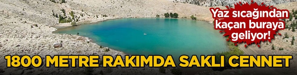 Yaz sıcağından kaçan buraya geliyor! 1800 metre rakımda saklı cennet