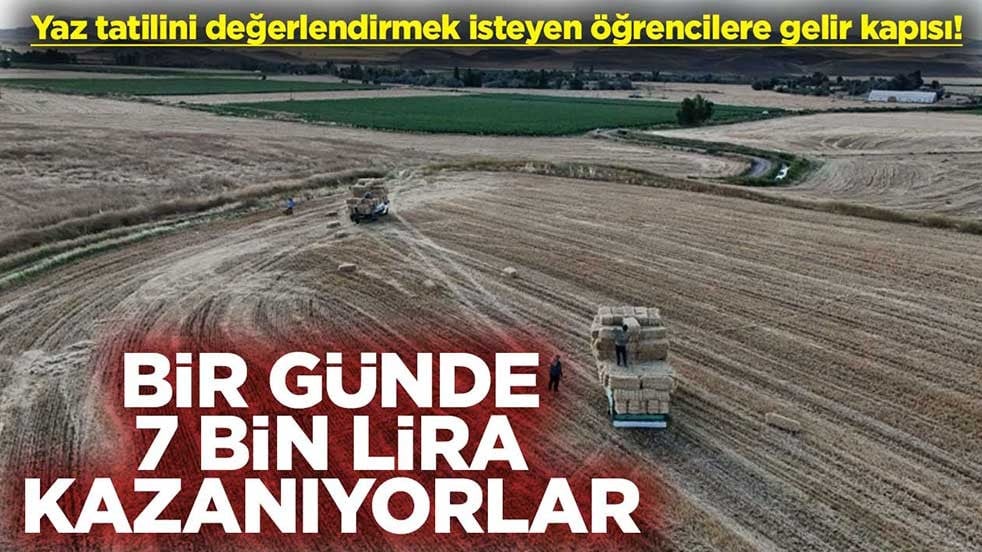 Yaz tatilini değerlendirmek isteyen öğrencilere gelir kapısı! Bir günde 7 bin lira kazanıyorlar