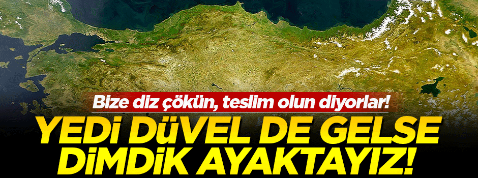 'Yedi düvel de gelse, dimdik ayaktayız biz!'