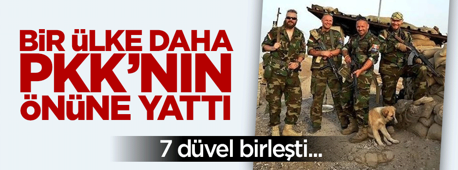 Yedi düvel YPG'nin arkasında!