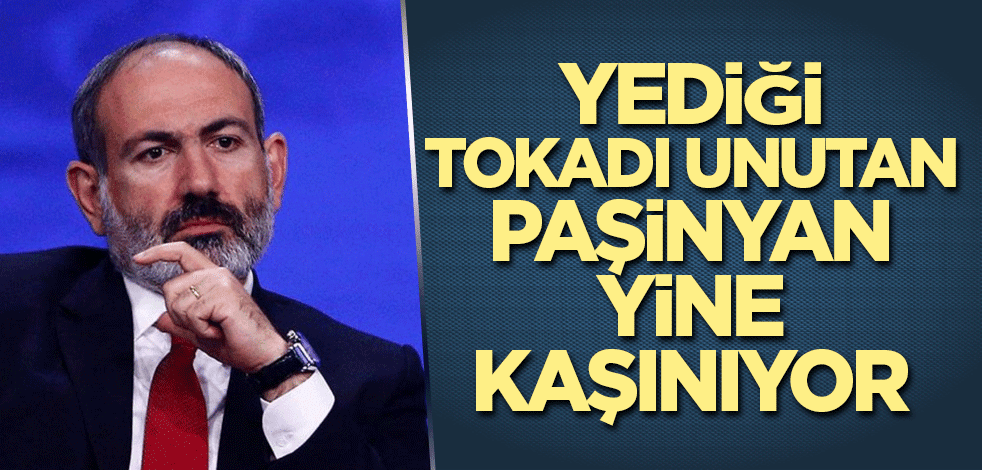 Yediği tokadı unutan Paşinyan yine kaşınıyor