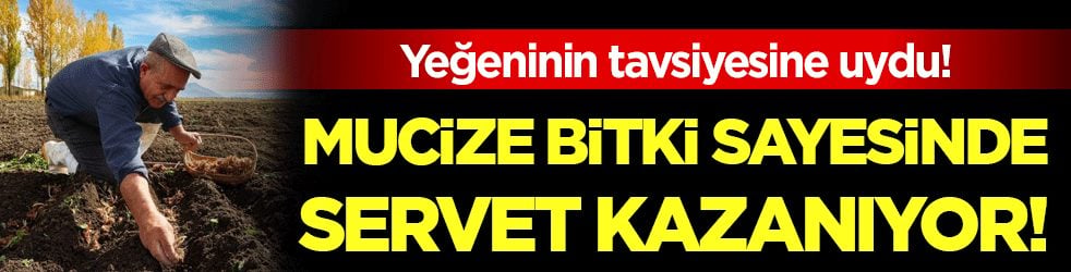 Yeğeninin tavsiyesine uydu: Mucize bitki sayesinde servet kazanıyor!