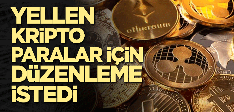Yellen koinler için düzenleme istedi