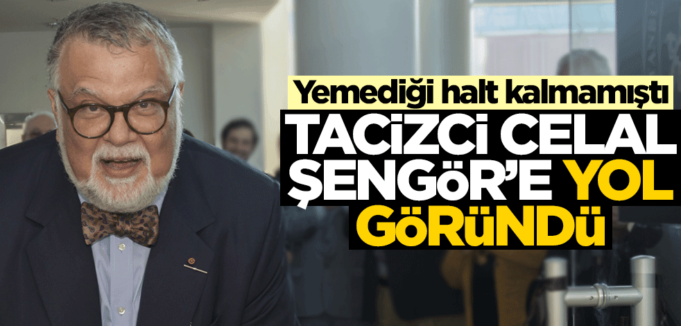 Yemediği halt kalmamıştı! Tacizci Celal Şengör'e yol göründü